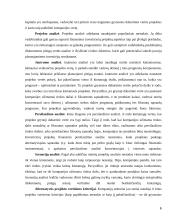 Prekybos centrų plėtra mažuose regionuose 6 puslapis