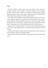 Kaimo ir miesto integraciniai ryšiai 2 puslapis