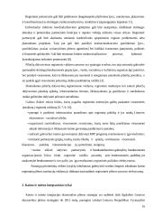 Kaimo ir miesto integraciniai ryšiai 16 puslapis