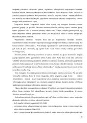 Kaimo ir miesto integraciniai ryšiai 19 puslapis