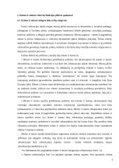 Kaimo ir miesto integraciniai ryšiai 3 puslapis