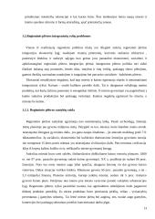 Regioninės plėtros Lietuvoje analizė ir skatinimo galimybės 13 puslapis