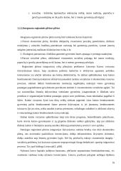 Regioninės plėtros Lietuvoje analizė ir skatinimo galimybės 16 puslapis