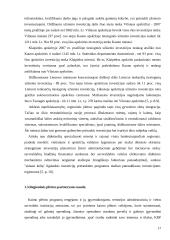 Regioninės plėtros Lietuvoje analizė ir skatinimo galimybės 17 puslapis