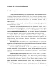Regioninės plėtros Lietuvoje analizė ir skatinimo galimybės 3 puslapis