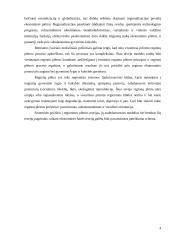 Regioninės plėtros Lietuvoje analizė ir skatinimo galimybės 4 puslapis