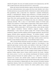 Socialinės partnerystė įtaka ir vaidmuo šiuolaikinei darbo teisei 11 puslapis