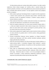 Skandinaviškos rinkos modelis 7 puslapis