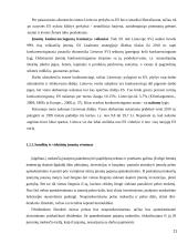 Valstybės parama smulkiam ir vidutiniam verslui 11 puslapis