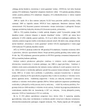 Valstybės parama smulkiam ir vidutiniam verslui 16 puslapis