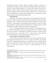 Valstybės parama smulkiam ir vidutiniam verslui 20 puslapis