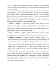 Valstybės parama smulkiam ir vidutiniam verslui 4 puslapis