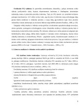 Valstybės parama smulkiam ir vidutiniam verslui 5 puslapis