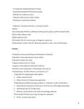 Valstybės parama smulkiam ir vidutiniam verslui 8 puslapis