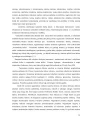 Statybos ekonomika Rusijoje 14 puslapis