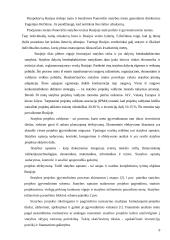 Statybos ekonomika Rusijoje 9 puslapis