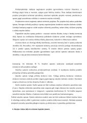 Statybos ekonomika Rusijoje 10 puslapis