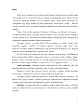 Tiesioginės užsienio investicijos naujose ES šalyse 2 puslapis