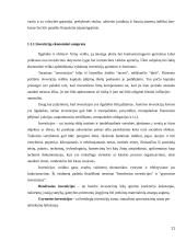 Tiesioginės užsienio investicijos naujose ES šalyse 11 puslapis