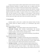 Tiesioginės užsienio investicijos naujose ES šalyse 12 puslapis