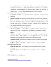 Tiesioginės užsienio investicijos naujose ES šalyse 13 puslapis