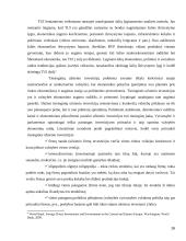 Tiesioginės užsienio investicijos naujose ES šalyse 16 puslapis