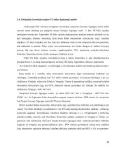 Tiesioginės užsienio investicijos naujose ES šalyse 19 puslapis