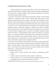 Tiesioginės užsienio investicijos naujose ES šalyse 4 puslapis