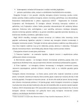 Tiesioginės užsienio investicijos naujose ES šalyse 5 puslapis