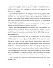 Tiesioginės užsienio investicijos naujose ES šalyse 6 puslapis