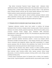 Tiesioginės užsienio investicijos naujose ES šalyse 10 puslapis