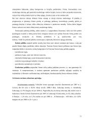 Gyventojų pajamų augimo įtaka turizmo paklausai 11 puslapis