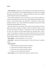 Konferencijų skatinimas ir verslo turizmas 2 puslapis