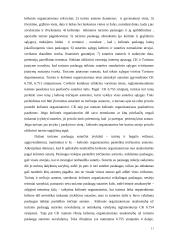 Konferencijų skatinimas ir verslo turizmas 11 puslapis