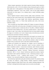 Konferencijų skatinimas ir verslo turizmas 20 puslapis