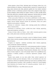 Konferencijų skatinimas ir verslo turizmas 7 puslapis