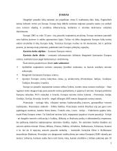 Žymiausi Europos centrai 2 puslapis