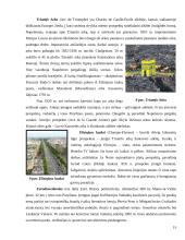 Žymiausi Europos centrai 14 puslapis