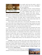 Žymiausi Europos centrai 20 puslapis