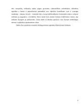 Žymiausi Europos centrai 3 puslapis