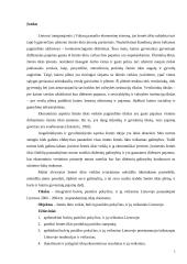 Bulvių rinkos plėtros tendencijos 2 puslapis