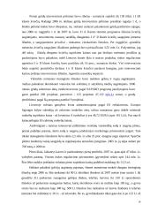 Bulvių rinkos plėtros tendencijos 14 puslapis