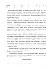 Bulvių rinkos plėtros tendencijos 7 puslapis