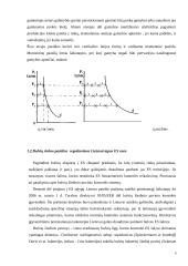 Bulvių rinkos plėtros tendencijos 9 puslapis