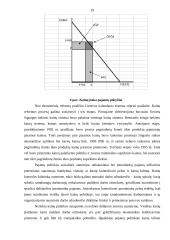 Pajamų samprata žemės ūkyje 19 puslapis