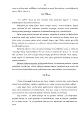 Pajamų samprata žemės ūkyje 20 puslapis