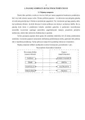 Pajamų samprata žemės ūkyje 4 puslapis