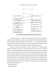 Pajamų samprata žemės ūkyje 5 puslapis