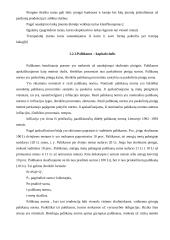 Pajamų šaltiniai ir veiksniai žemės ūkyje 11 puslapis