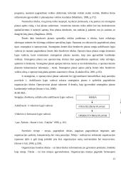 Valdymo analizė žemės ūkio bendrovėje 13 puslapis